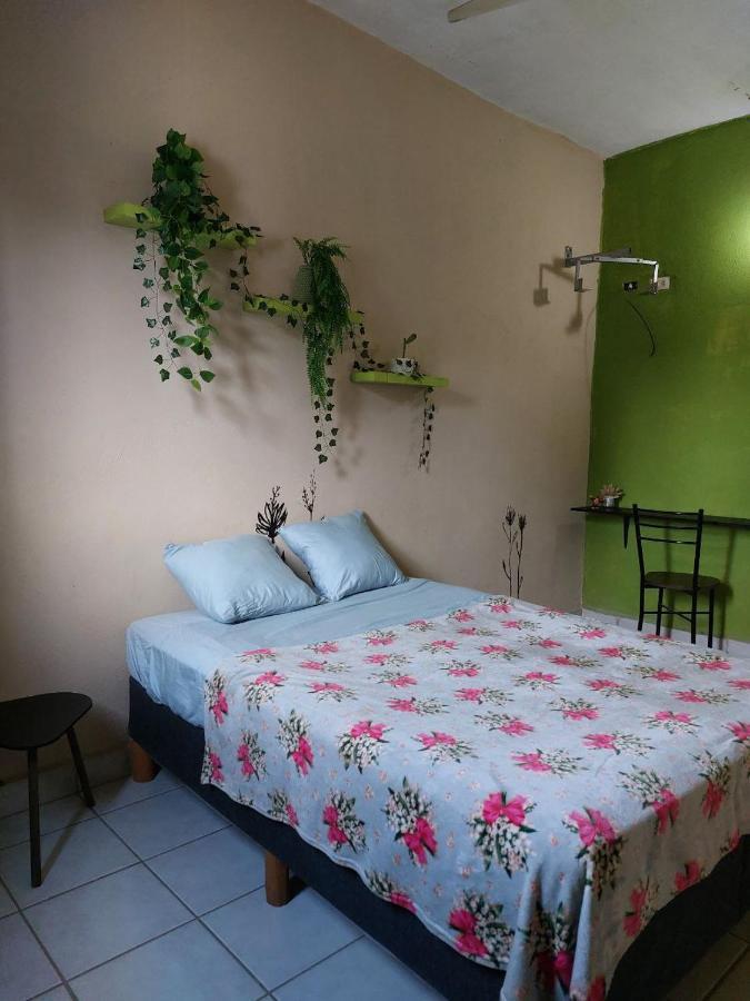 Cho Ku Rei Hostal Сан-Хосе-дель-Кабо Екстер'єр фото